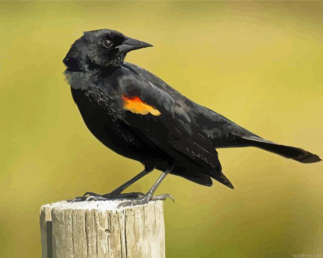 Yellow winged blackbird painting by numbers.jpeg