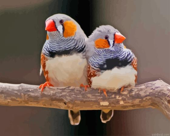 Zebra finch couple painting by numbers.jpeg