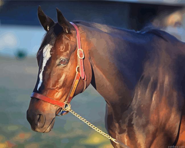Zenyatta horse head painting by numbers.jpeg