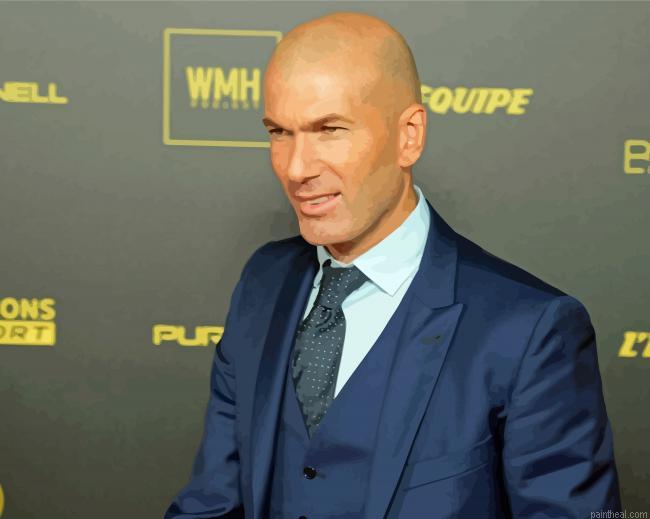 Zinedine zidane painting by numbers.jpeg