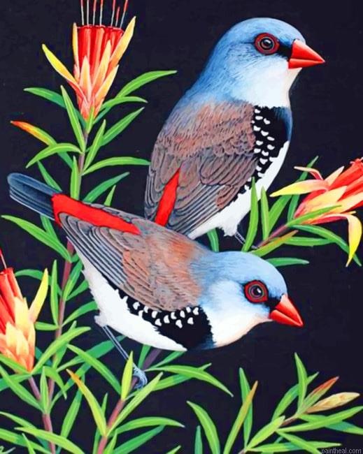 Aesthetic birds animals painting by numbers.jpeg