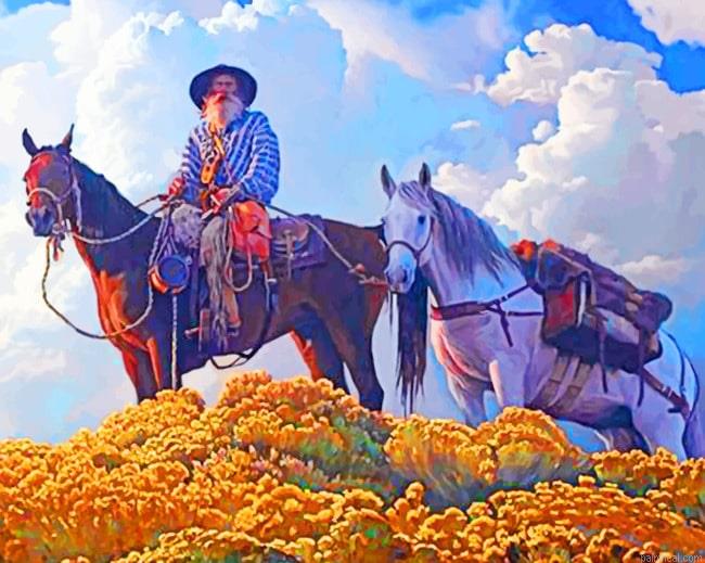 Aesthetic cowboy western painting by numbers.jpeg