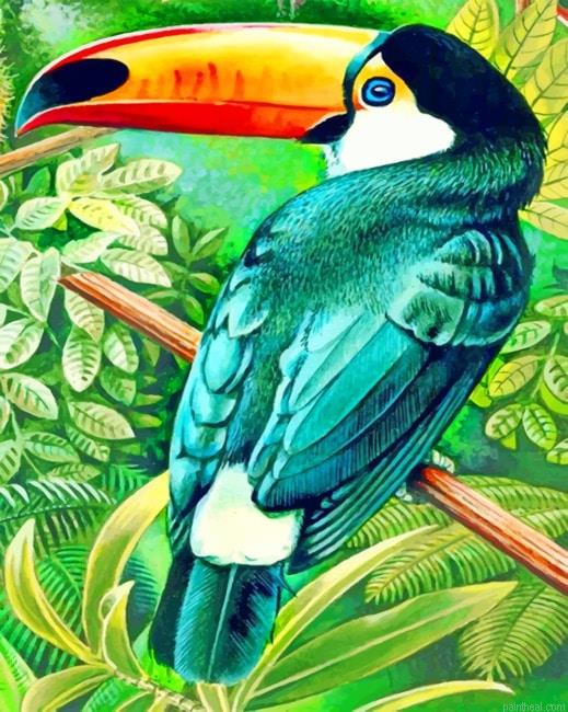 Aesthetic toucans birds painting by numbers.jpeg
