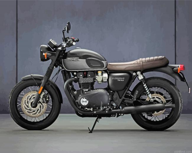 Aesthetic triumph motorcycle painting by numbers.jpeg