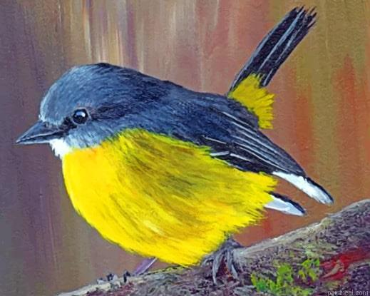 Black and yellow bird animals painting by numbers.jpeg