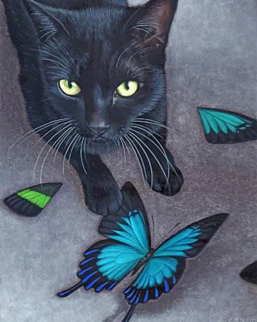 Black cat and butterflies painting by numbers.jpeg
