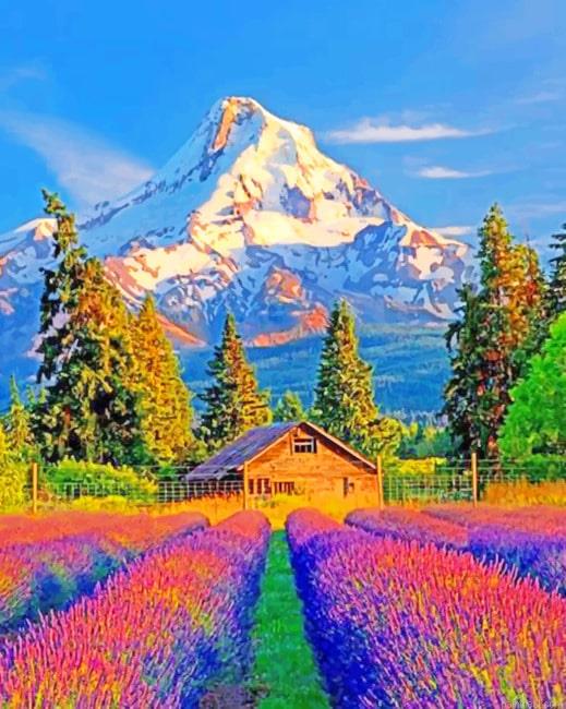 Colorful fields and mountains landscape painting by numbers.jpeg