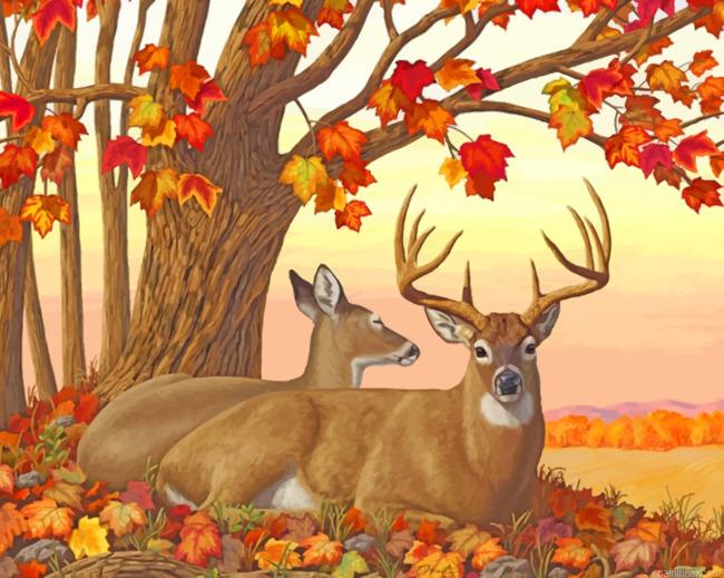 Deer in autumn painting by numbers.jpeg