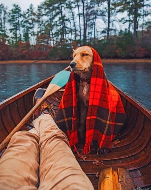 Dog in boat with blanket new painting by numbers.jpeg