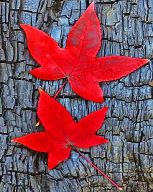Fall leaves painting by numbers.jpeg