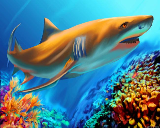 Great white shark art painting by numbers.jpeg