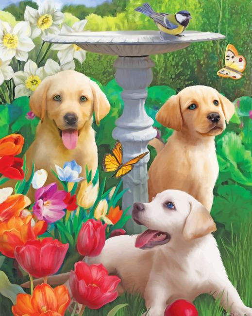 Labradors in garden painting by numbers.jpeg
