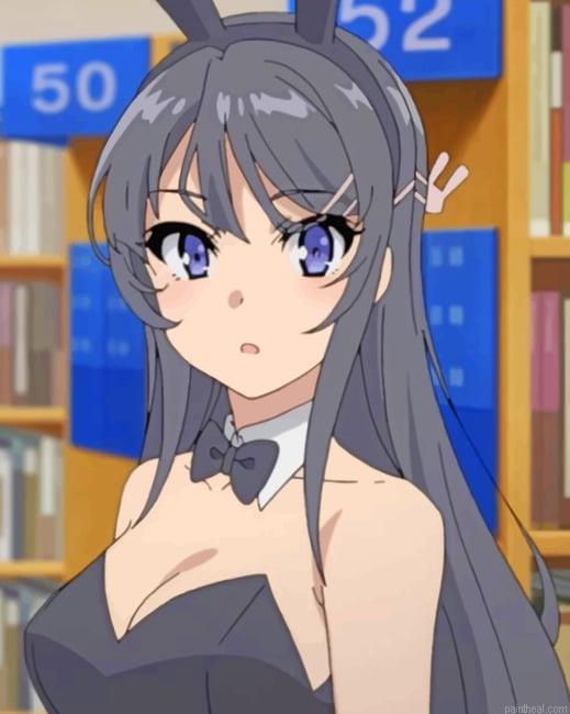 Mai sakurajima bunny senpai animes painting by numbers.jpeg