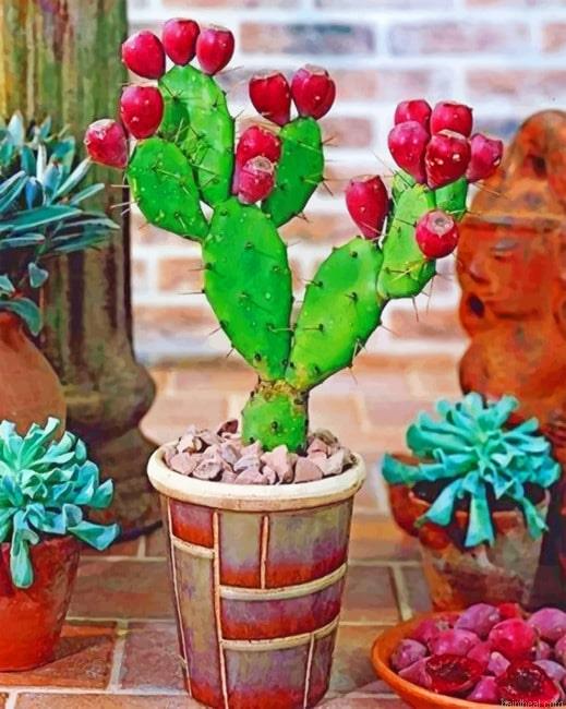 Prickly pear cactus plant painting by numbers.jpeg