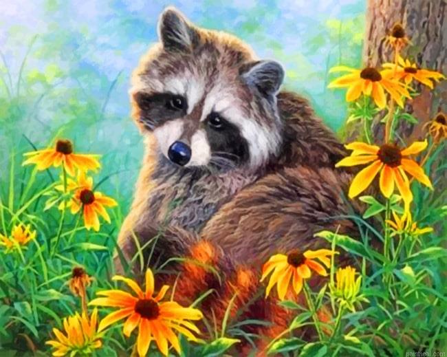 Raccoon animals painting by numbers.jpeg