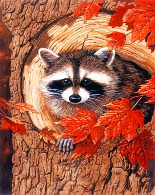 Raccoon in the fall animals painting by numbers.jpeg