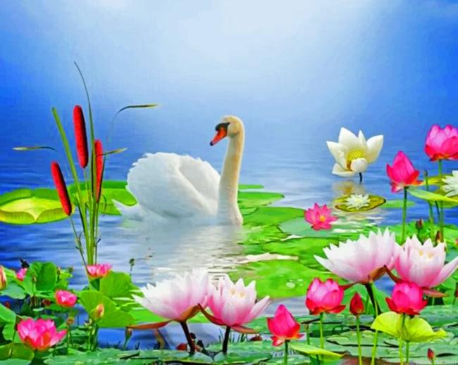 White swan birds painting by numbers.jpeg