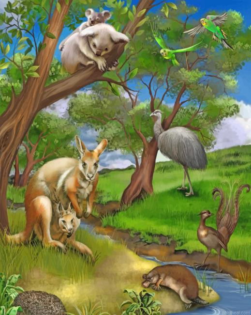 Wild animals painting by numbers.jpeg